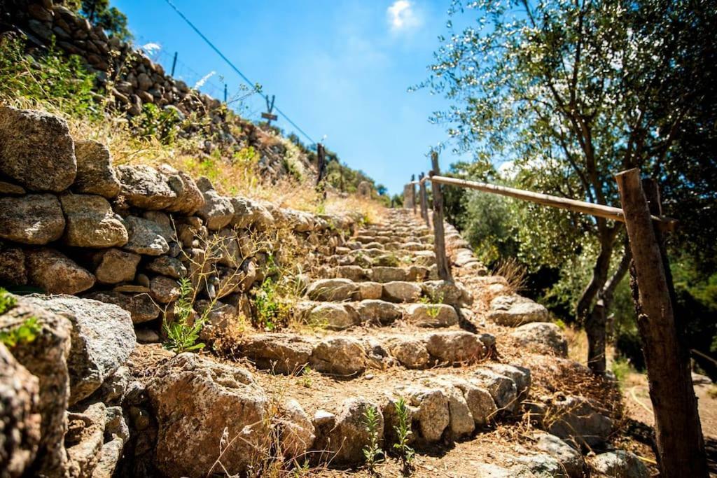 מלון Omessa Les Bergeries "Le Figuier" מראה חיצוני תמונה