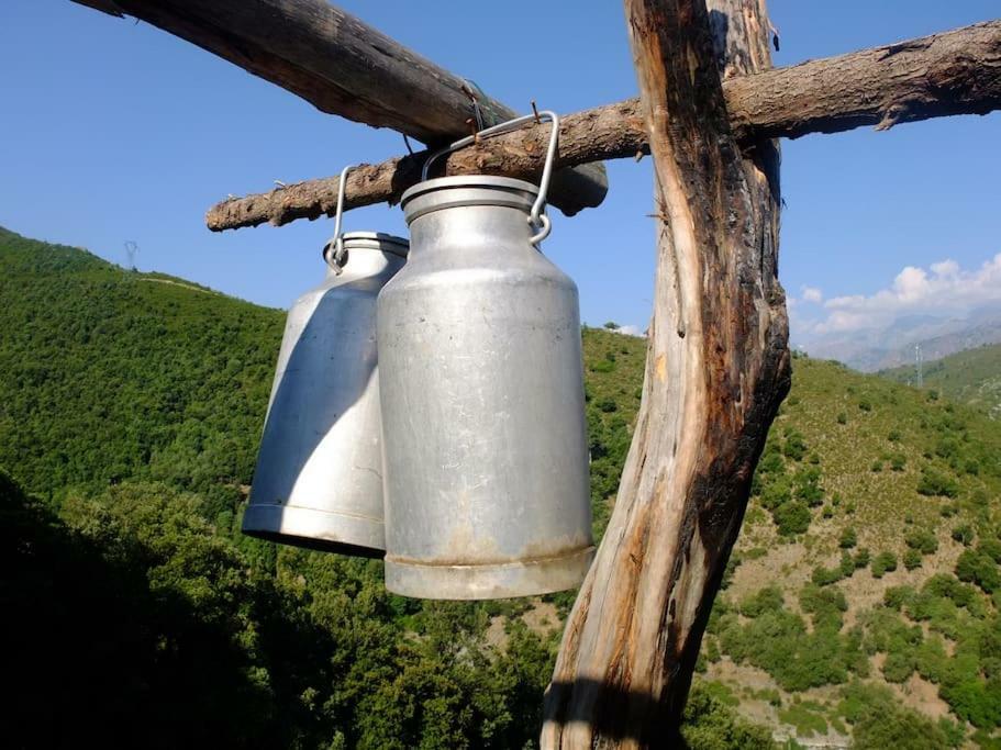 מלון Omessa Les Bergeries "Le Figuier" מראה חיצוני תמונה