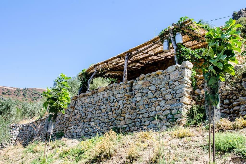 מלון Omessa Les Bergeries "Le Figuier" מראה חיצוני תמונה