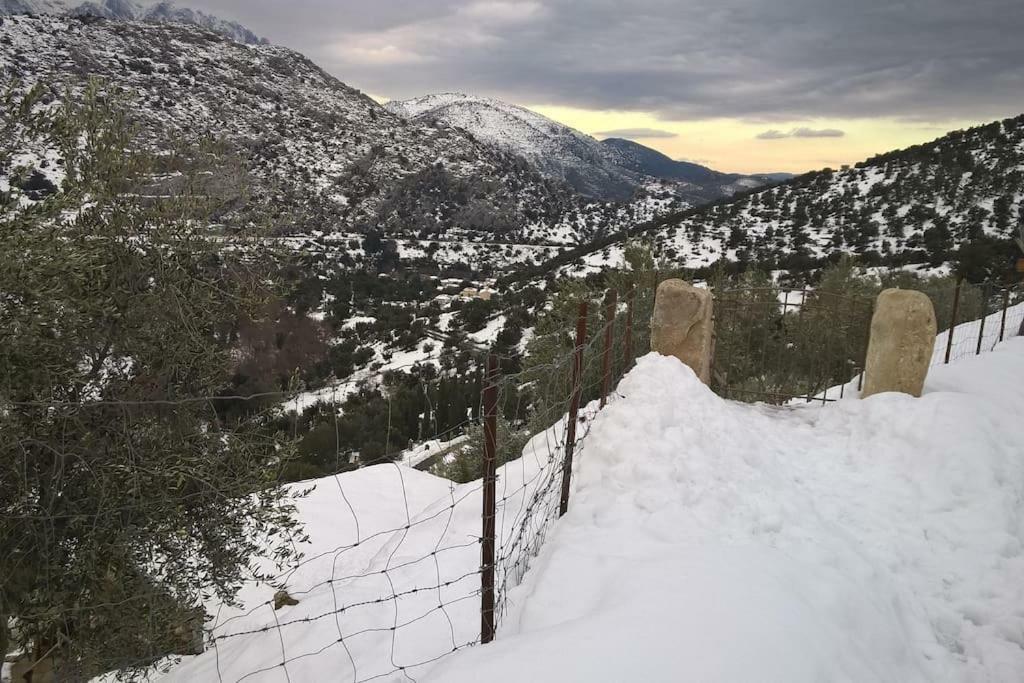 מלון Omessa Les Bergeries "Le Figuier" מראה חיצוני תמונה