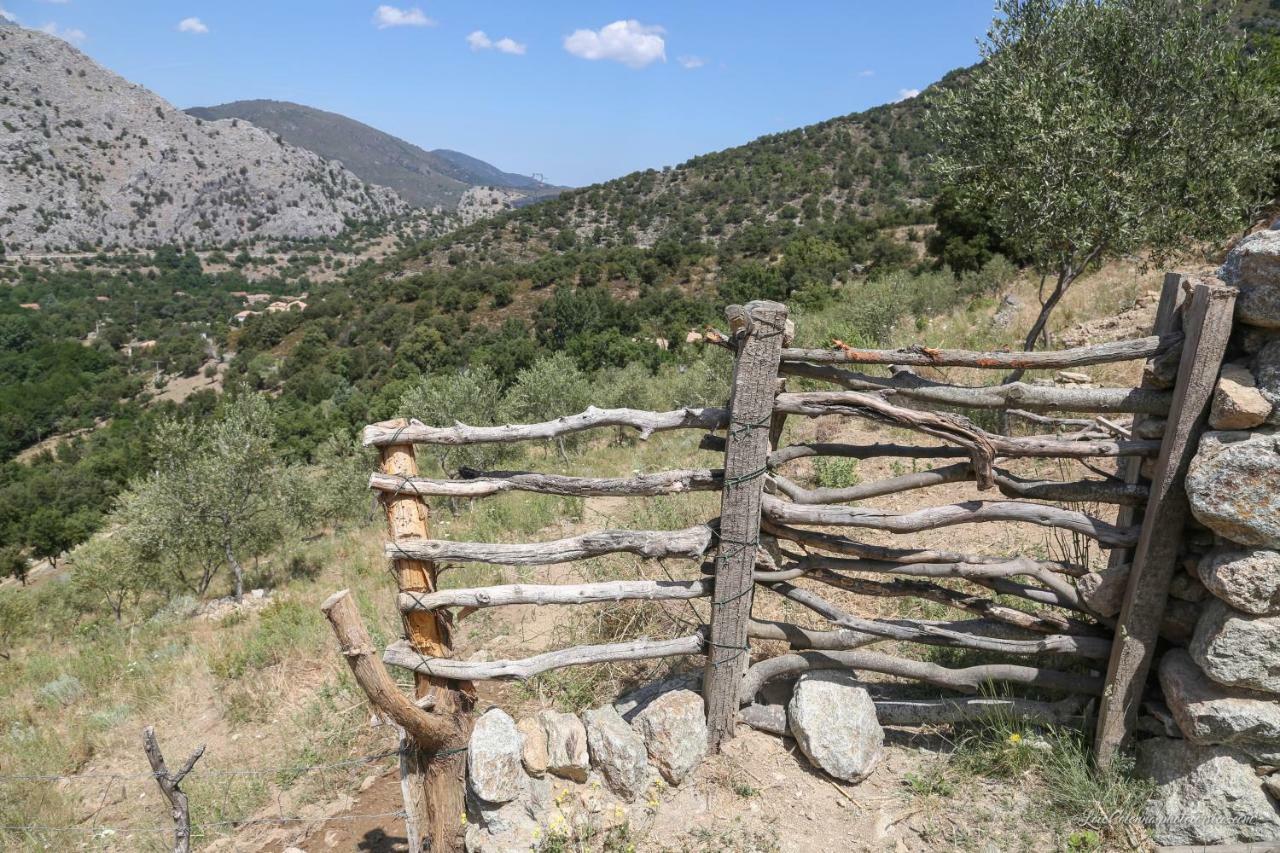 מלון Omessa Les Bergeries "Le Figuier" מראה חיצוני תמונה