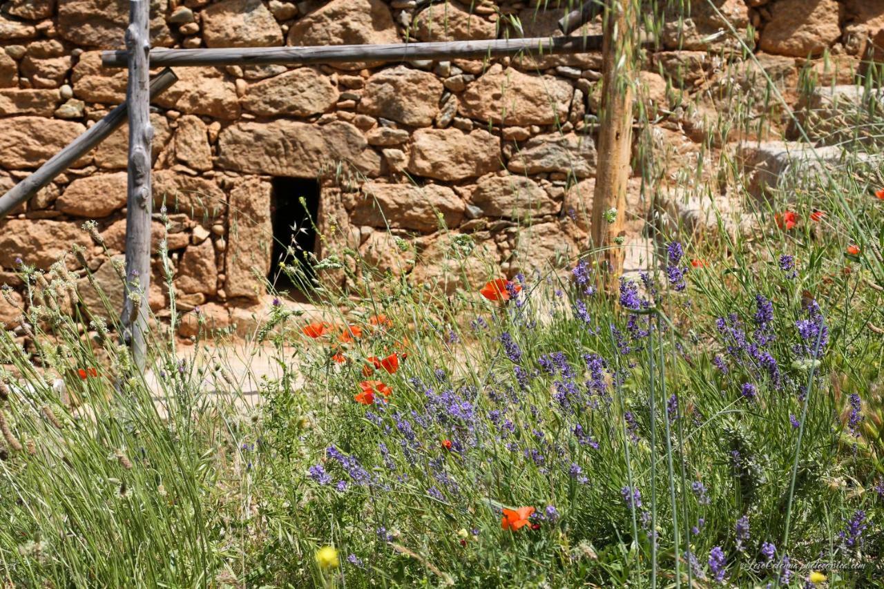 מלון Omessa Les Bergeries "Le Figuier" מראה חיצוני תמונה