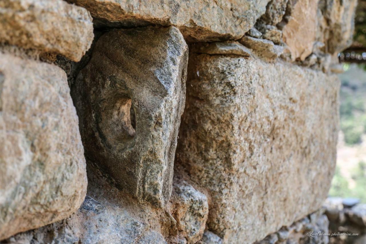 מלון Omessa Les Bergeries "Le Figuier" מראה חיצוני תמונה