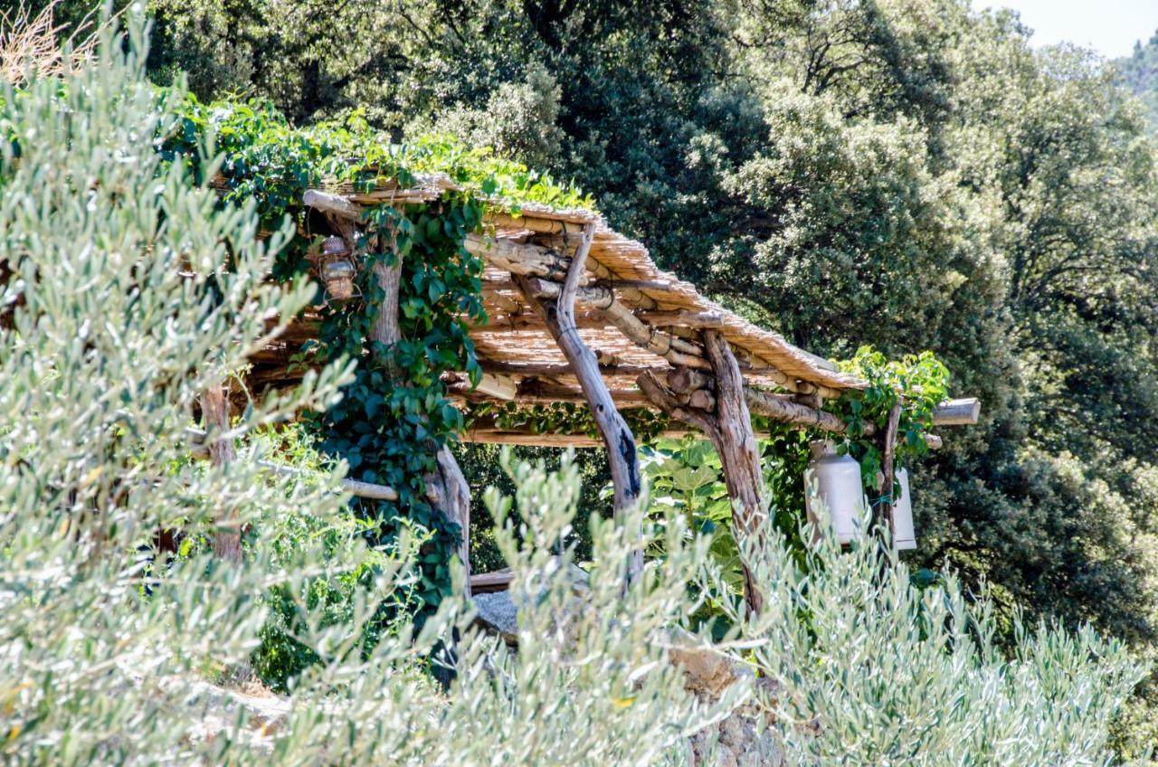 מלון Omessa Les Bergeries "Le Figuier" מראה חיצוני תמונה